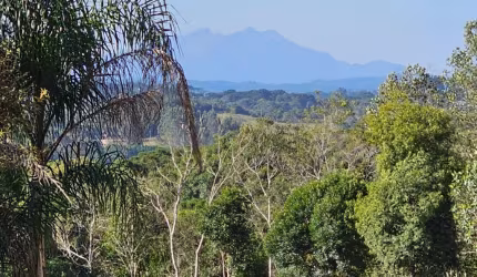 Chácara a Venda na Roseira divisa de Colombo com Campina Grande do Sul