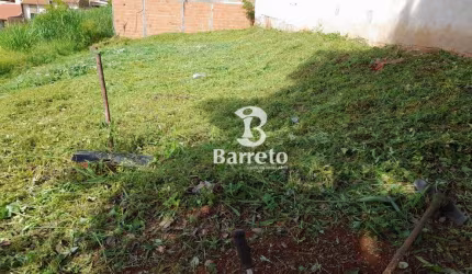 Terreno à venda, 250 m² por R$ 130.000,00 - Jardim São Paulo II - Londrina/PR