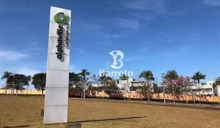 Terreno à venda, 379 m² por R$ 1.300.000 - Gleba Fazenda Palhano - Londrina/PR