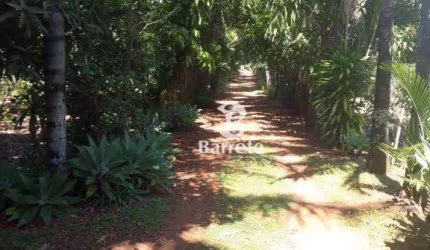 Chácara à venda, 30 m² por R$ 900.000,00 - Zona Rural - Ibiporã/PR