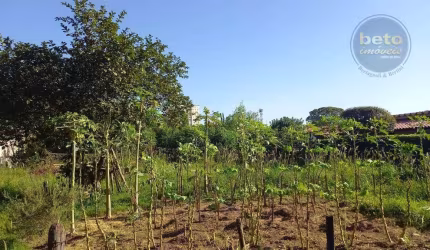 Terreno à venda, 1500 m² por R$ 900.000,00 - Vila Padre Bento - Itu/SP