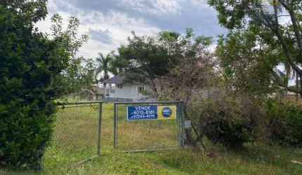 OPORTUNIDADE ÚNICA