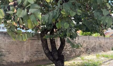 ótima localização