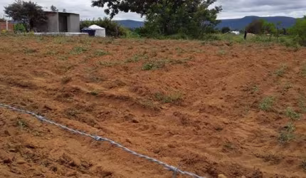 TERRENO 1600 m², NASCENTE, PRÓXIMO A FACULDADE  AGES A 4KM DA CIDADE DE JACOBINA 360 GRAUS DE VISTA