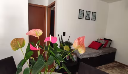 Apartamento 02 dormitórios no Bela Russia