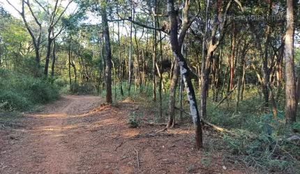 Chácara Condomínio para Venda em Esmeraldas, Santa Cecilia