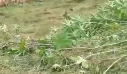 Lote para Venda em Esmeraldas, Novo Retiro