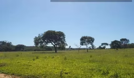 Fazenda para Venda em Santana de Pirapama, Área Rural