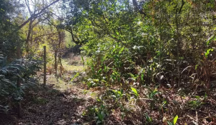 Chácara para Venda em Contagem, Campo Alegre