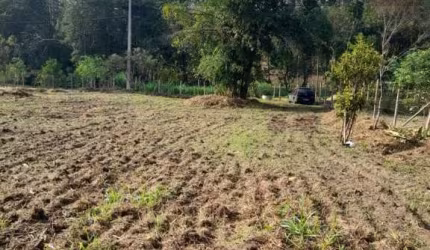 Chácara para Venda em Esmeraldas, Campo Alegre