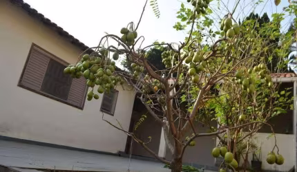 Casa com 3 quartos à venda na Rua dos Comerciários, 000, Cidade Vargas, São Paulo, 120 m2 por R$ 1.100.000