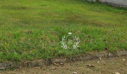 Terreno à venda, 360 m² por R$ 65.000,00 - Ponta Negra - Maricá/RJ