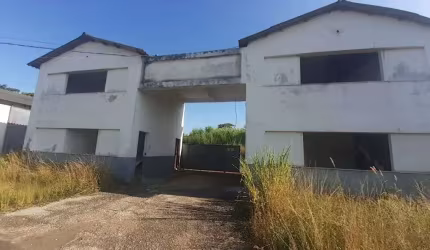 Galpão, 200 m² - venda por R$ 3.000.000,00 ou aluguel por R$ 20.000,00/mês - Itatiquara - Araruama/RJ