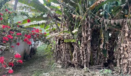 Terreno à venda, 580 m² por R$ 220.000 - Jardim Paulista - Atibaia/SP