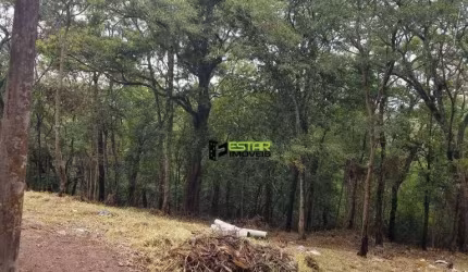 Terreno à venda, 3146 m² por R$ 490.000 - Jardim Estância Brasil - Atibaia/SP