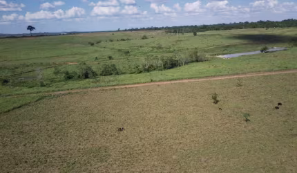 Rondônia Alvorada do Oeste , FAZENDA  região central do Estado