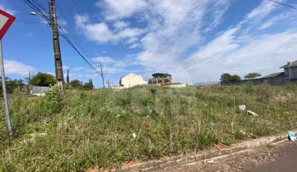 Lote/Terreno para aluguel, Jardim Carvalho - Ponta Grossa/PR