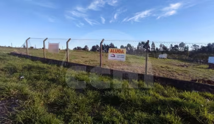 Lote/Terreno para aluguel, Neves - Ponta Grossa/PR