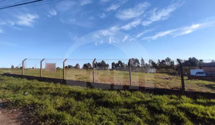 Lote/Terreno para aluguel, Neves - Ponta Grossa/PR