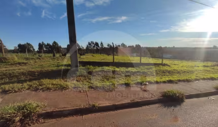 Lote/Terreno para aluguel, Neves - Ponta Grossa/PR