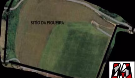 Sítio com ótima topografia, bairro Pedregulho, Itu, permuta