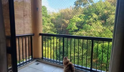 Oportunidade!!! Apartamento de 3 quartos em Santa Rosa