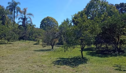 Chácara à venda em Forqueta