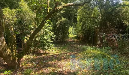 Chácara em Barão Geraldo, 2 dorm., 2 wcs, piscina, churrasqueira e muita área verde