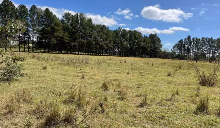 Terreno Área em São José do Rio Preto
