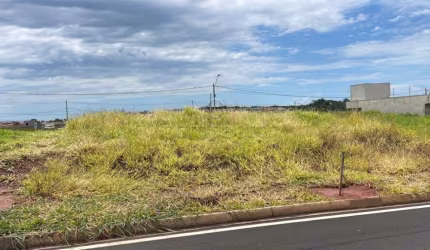 Terreno Padrão em Mirassol