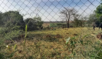 Terreno Padrão em São José do Rio Preto