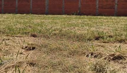 Terreno Condomínio em Olímpia