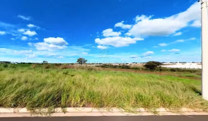 Terreno Padrão em São José do Rio Preto