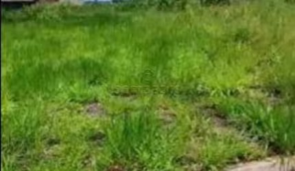 Terreno Padrão em São José do Rio Preto
