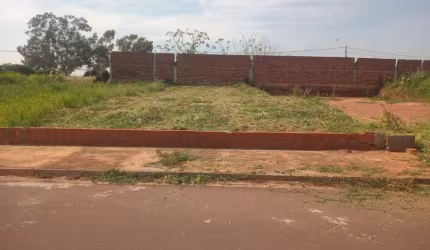 Terreno Padrão em Mirassol