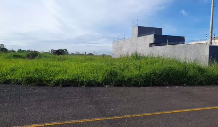 Terreno Padrão