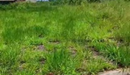 Terreno Padrão em São José do Rio Preto