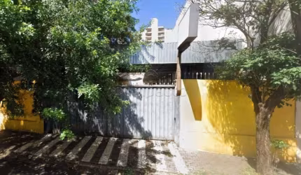 Terreno Padrão