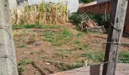 Terreno Padrão
