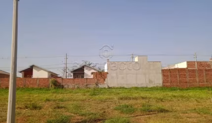 Terreno Padrão