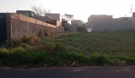 Terreno Padrão