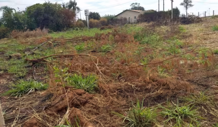 Terreno Padrão em São José do Rio Preto