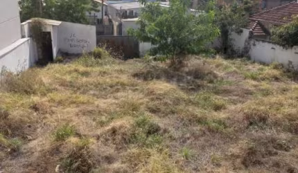 Terreno Padrão em São José do Rio Preto