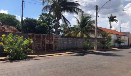 Terreno Padrão em Sales