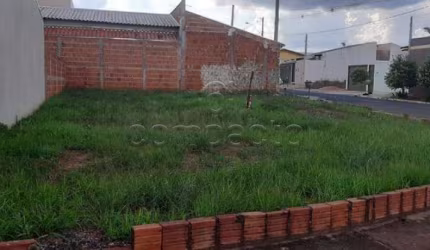 Terreno Padrão em Cedral