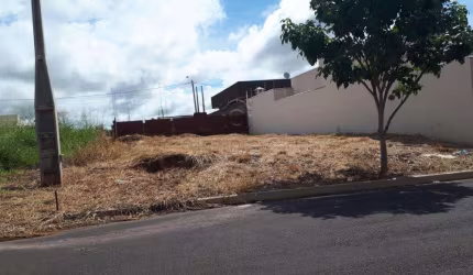 Terreno Padrão em Mirassol