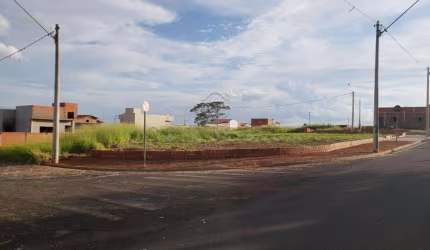 Terreno Padrão em Mirassol