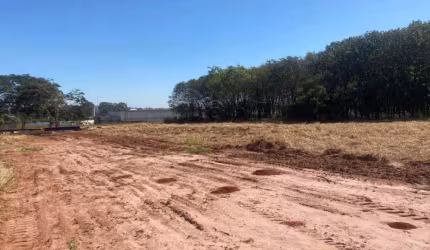Terreno Área em Mirassol