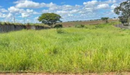 Terreno Padrão em Cedral