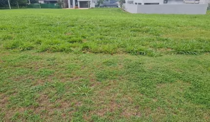 Terreno Condomínio em Mirassol